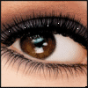 amalya_lp